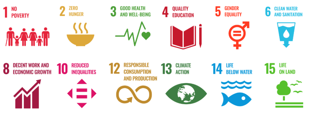 Impact 12 of the Sustainable Development Goals